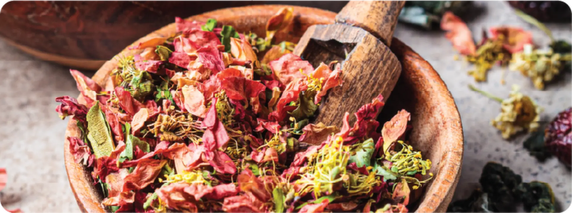 Dried Herbs